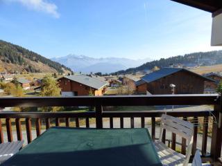 Charmant T2 aux Saisies, 4 pers, parking privé, près des pistes et commodités - FR-1-594-135 - Hauteluce - 3