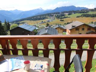 Studio confortable aux Saisies pour 4 personnes avec balcon et cuisine équipée - FR-1-594-127 - Hauteluce - 2