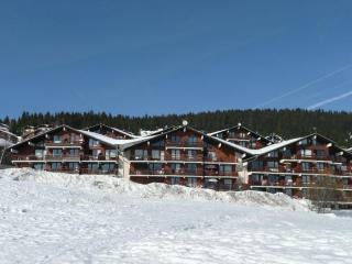 Les Saisies : 2 pièces pour 4 pers, centre station - FR-1-594-149 - Hauteluce - 8