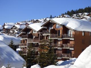 Studio 4 pers, balcon sud, proche télésièges et commerces - Les Saisies - FR-1-594-153 - Hauteluce - 3