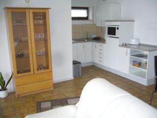 Ferienwohnung Erika - Grenzach-Wyhlen - 1