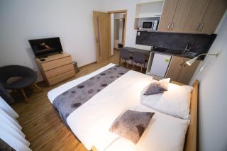 Apartmany 21 Třeboň - Třeboň - 4