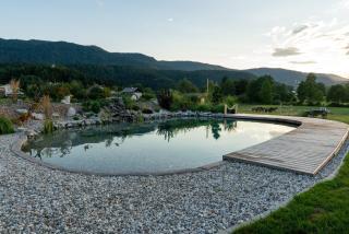 Glamping Happiness with Natural Pool - Ribnica - 4