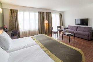 Hotel Montana - Geneva - 5