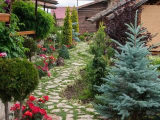 Grig House Eco Resort - 7