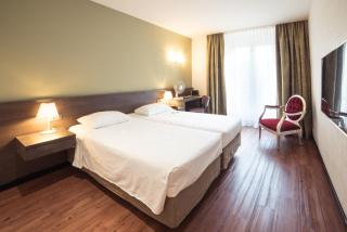 Hotel Montana - Geneva - 8