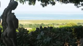 Vigna Sul Mare - Marina Palmense - 2