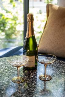 Luxurious Residence in Vondelpark/Museum District - 5