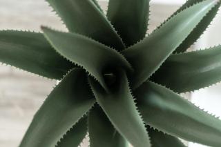 Stunning Views + Hot Tub + Location! 3 bed/3 bath - 4