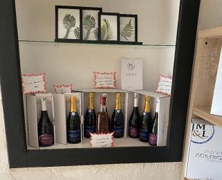 Maison indiv au cœur du vignoble champenois - Lignol-le-Château - 2