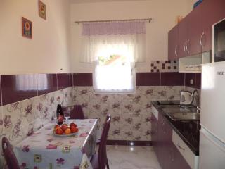 Apartment in Lopar with terrace, air conditioning, WiFi, washing machine 4229-3 - Lopar - 2