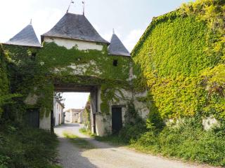 Château de Parançay - 15 people lodge - Bernay - 0