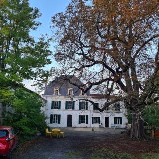Château de Parançay - 15 people lodge - Bernay - 9