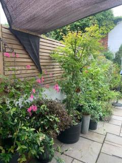 Blachington Cottage, Stunning and Central By Air Premier - Seaford - 9