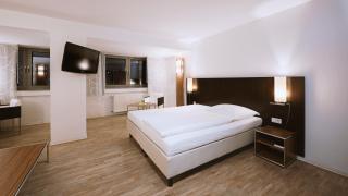 Panorama Hotel Schweinfurt - Schweinfurt - 3