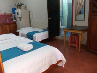 Hostal Miconia - Puerto Ayora - 7