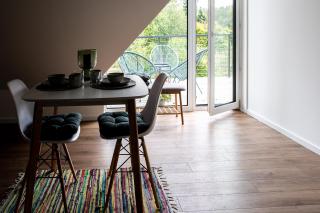 Vakaras cozy apartment in the guest house with the terrace and the stunning view to the river side - Birštonas - 3