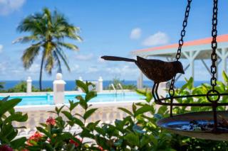 Domaine des Tourterelles - Capesterre-de-Marie-Galante - 5