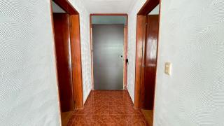 Pecari 26 - Cancún - 8