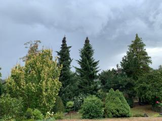 Grüne Oase - Kottenheim - 4