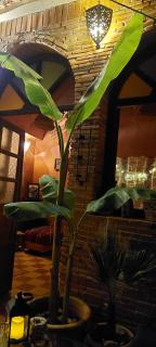 Riad Hayed - Marrakech - 6