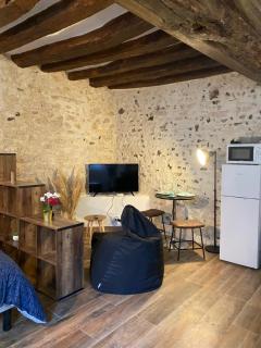 Studio Manhattan WIFI Plein de charme - Gien - 4