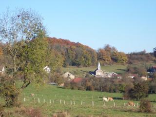 Charmante maison bio avec jardin près du lac de la Liez - FR-1-611-15 - 3