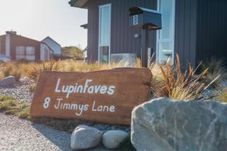 Lupin Faves Tekapo - Lake Tekapo - 8