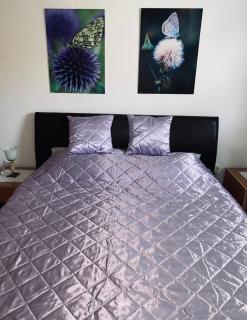 Apartman JZ Zlatibor - Zlatibor - 4