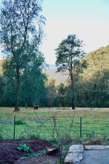 The Nest Tiny Home Mt Irvine - 1