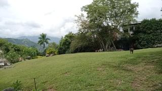 Hostal finca Palermo - 4