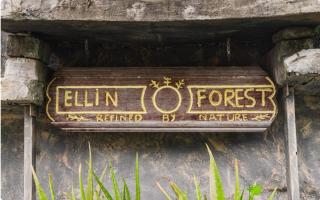 ELLIN FOREST 叶の森 - 5