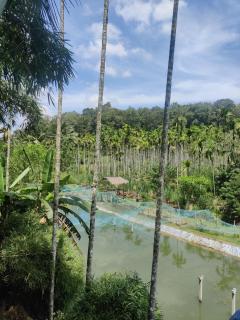 ExoticaHolidays - Sultan Bathery - 2