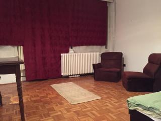 Budapest Flat Rent - Budapest - 8