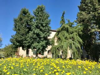 Bed&Breakfast La Madonnina - Marlia - 9