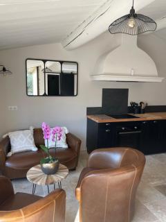 FUVOLEA, Maison de vacances à 15 min du centre d'Aix-en-Provence, piscine chauffée en saison - jardin - parking privé gratuit - Fuveau - 3