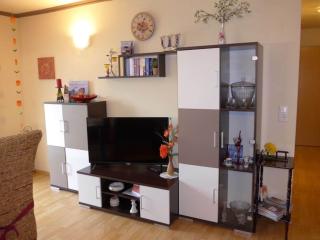 Cosy apartment with balcony in Kirnitzschtal - Lichtenhain - 3