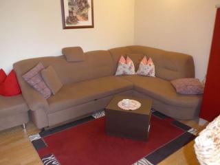 Cosy apartment with balcony in Kirnitzschtal - Lichtenhain - 4