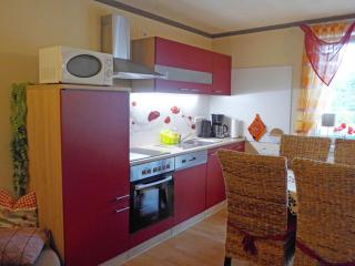 Cosy apartment with balcony in Kirnitzschtal - Lichtenhain - 2