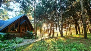 The Nordic Village - Evergreen Retreat - Mộc Châu - 2