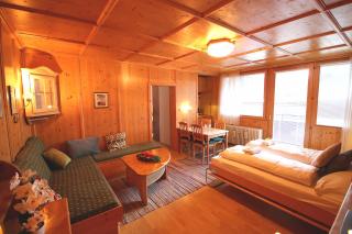 Apartment Bebette - 1 Bedroom- Austrian Alpine Getaways - Kaprun - 4