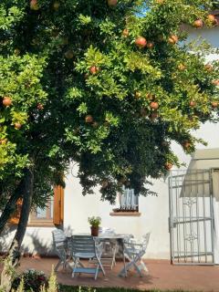 Villa Ma.Ja. - Vascon - 1