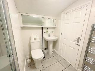 Contemporary Garden Flat in Clifton - Bristol - 7