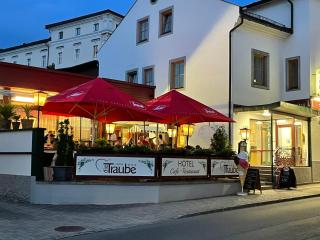 Hotel die Traube - 1