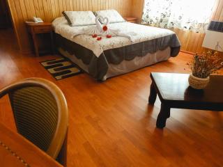 Hotel Iorana Tolache - 8