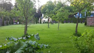 Forest Edge House - 2