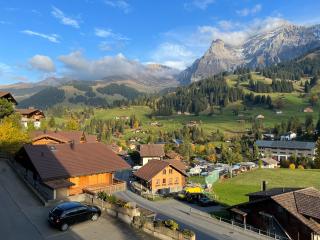 2-Zimmer Studio mit grossem Balkon und Bergpanorama - 400m von Talstation Sillerenbahn - Adelboden - 2