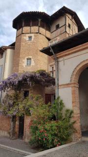 La tour du Griffoul - Gaillac - 8