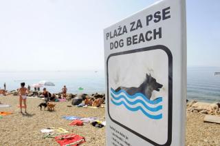 romantic love nest near the beach - Rijeka - 3