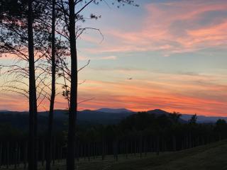 A Suite with a View + Wine - 8